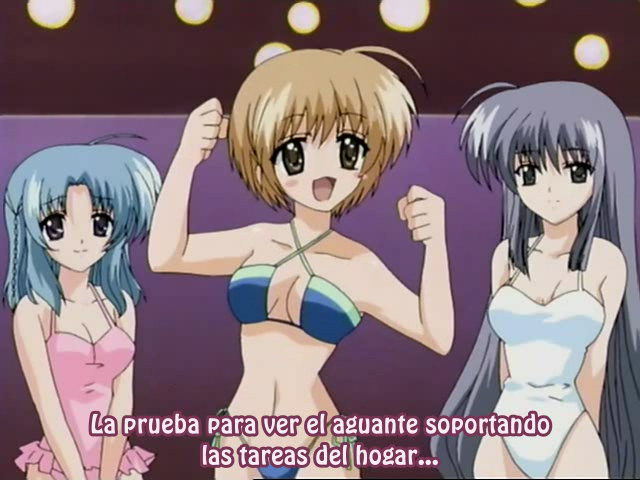 Final Approach (Nanikano Fansub)